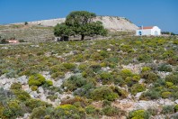 Argos, Kalymnos