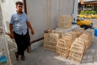 Animal market, Baghdad