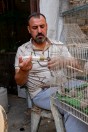 Animal market, Baghdad